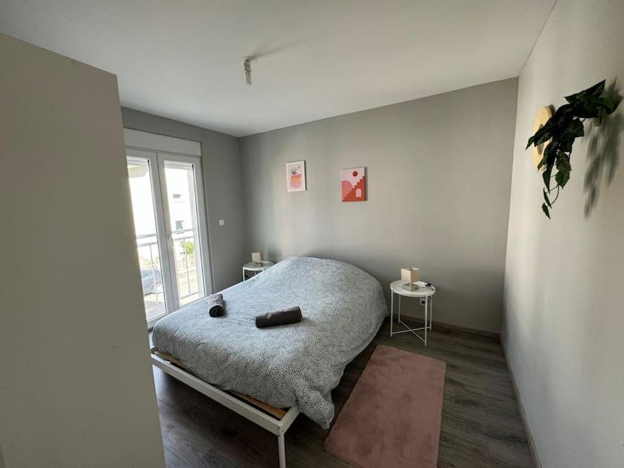 Instant Cosy Apartment Strasbourg Ngoại thất bức ảnh